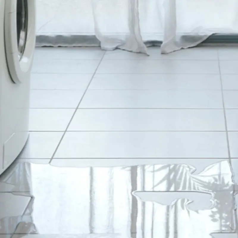 Appliance Leak Cleanup in Roma, TX
